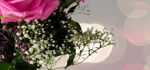pink flowers showing gratitude