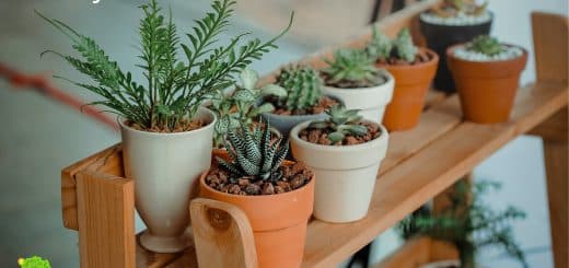 10 ways to feel better about the world